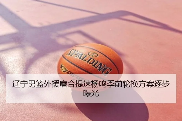 辽宁男篮外援磨合提速杨鸣季前轮换方案逐步曝光